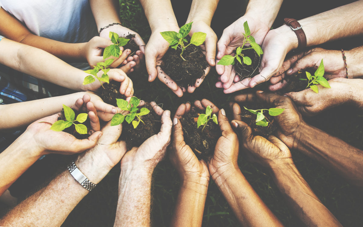 Group of environmental conservation people hands planting in aerial view